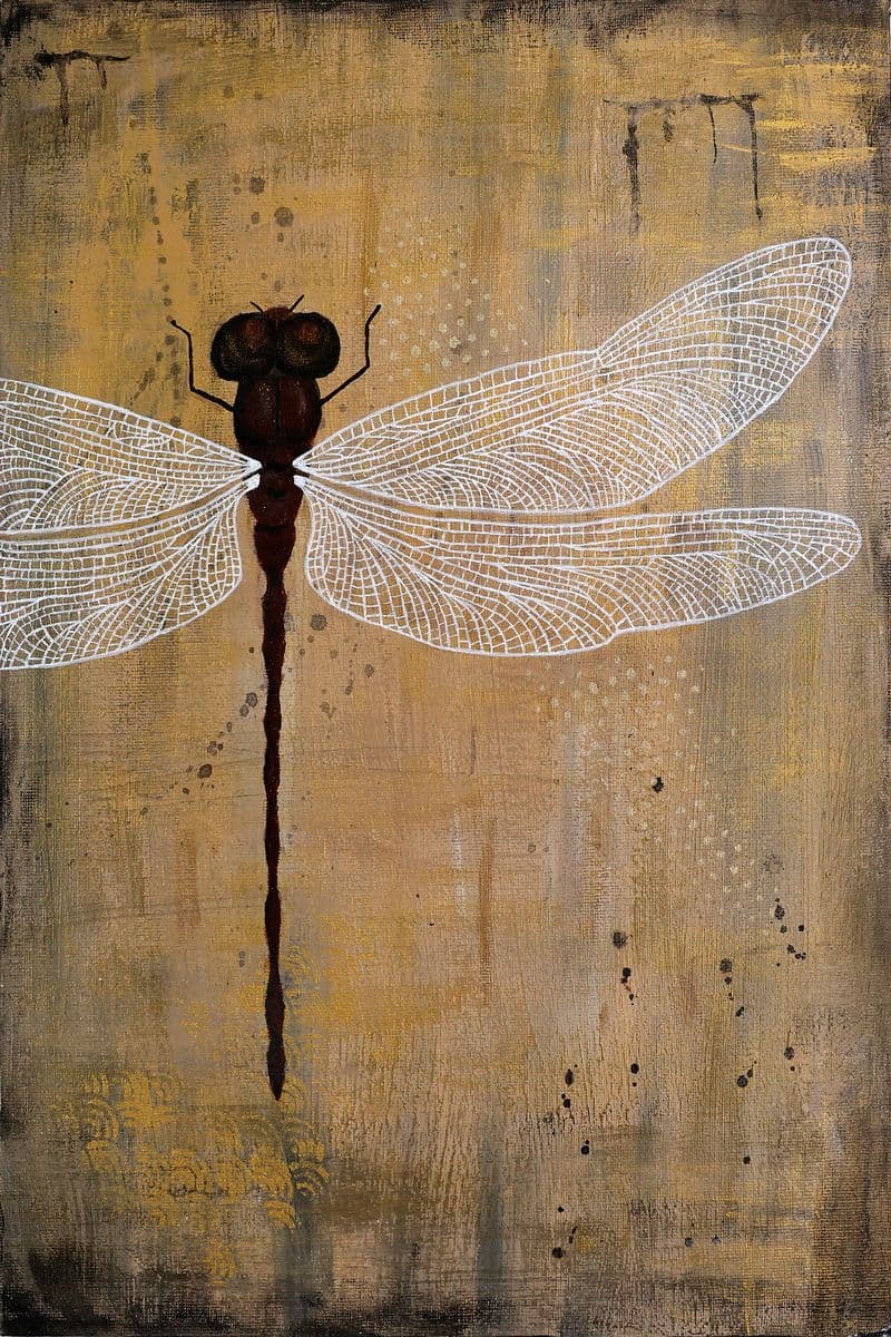 Detailed dragonfly on a shabby background