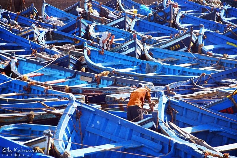 Morocco, Port of Essaouira